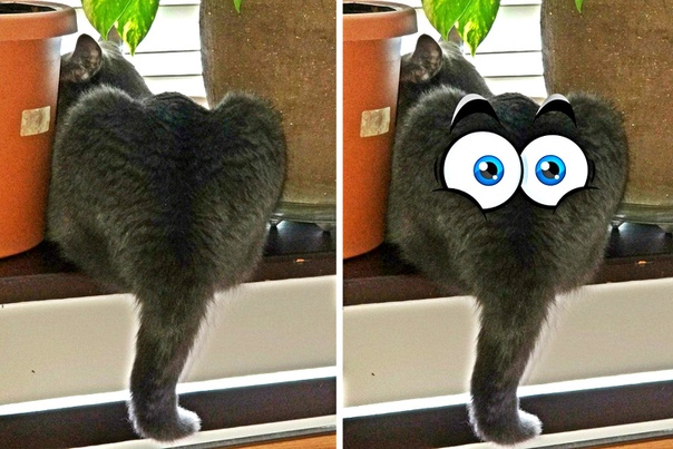 Фотографии и пара штрихов к ним