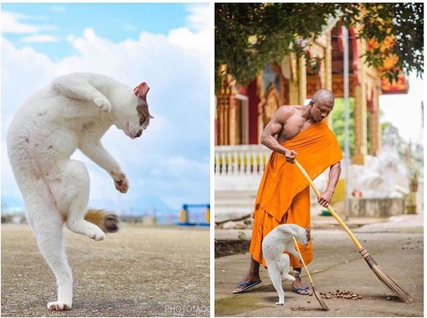Фотографии и пара штрихов к ним