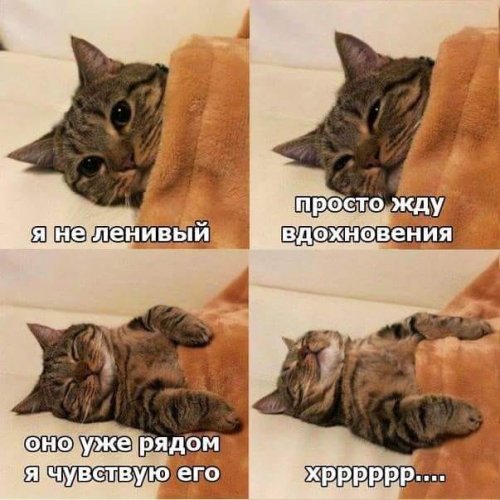 Подборка фото-приколов