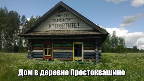 Порция позитива в прикольных картинках