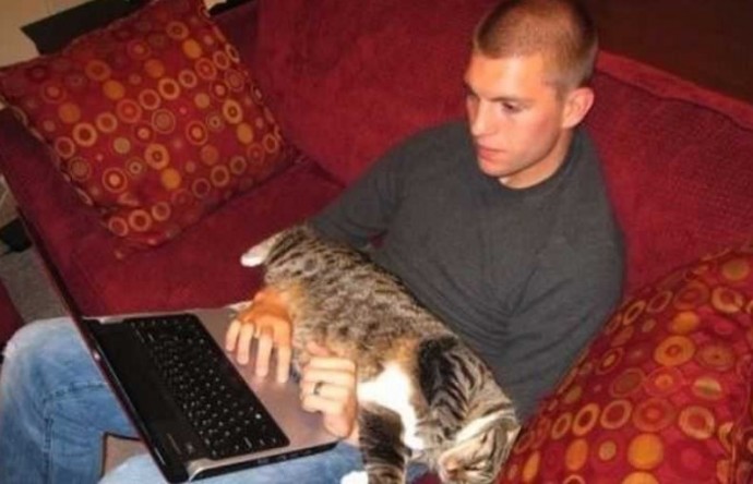 Будние дни кошек