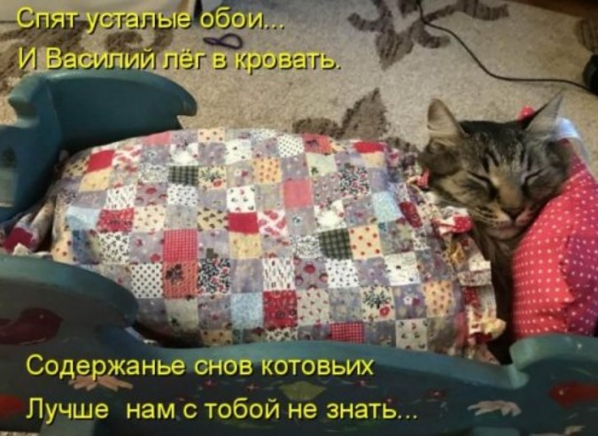 Прикольная котоматрица