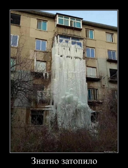Новая порция демотиваторов