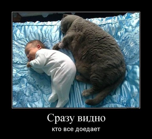 Смешные демотиваторы