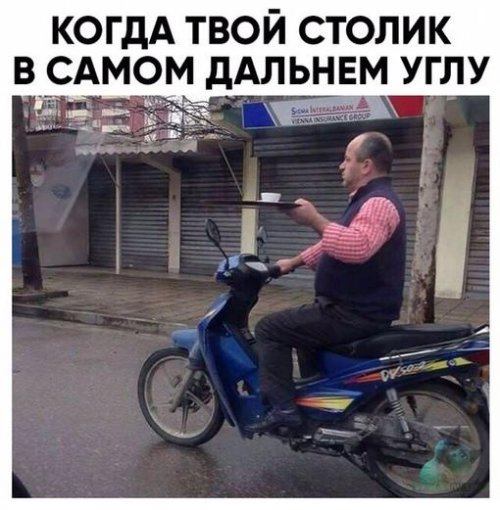 Забавные фотомемы