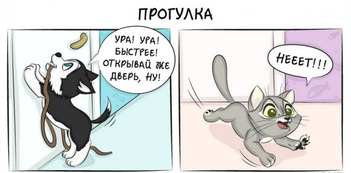 Комиксы о том, как отличается жизнь с кошкой от жизни с собакой
