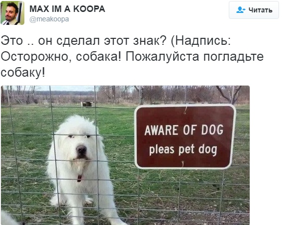 Подборка самых смешных твиттов о братьях наших меньших