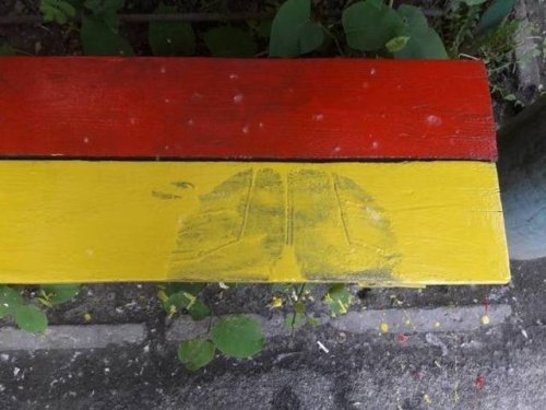 Неудачный день в картинках