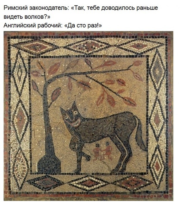 Что тут вообще происходит