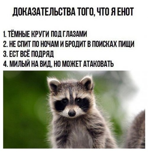 Прикольные картинки для настроения