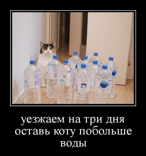 Смешные демотиваторы