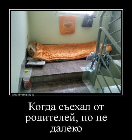 Свежая порция демотиваторов