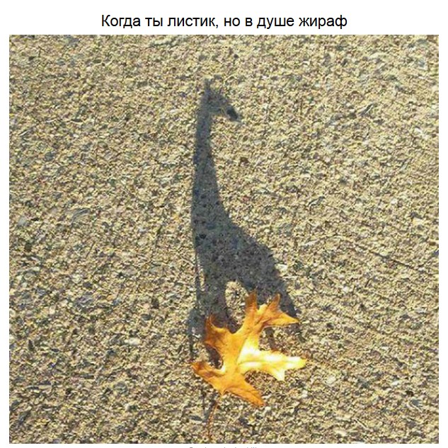 Смешные тени