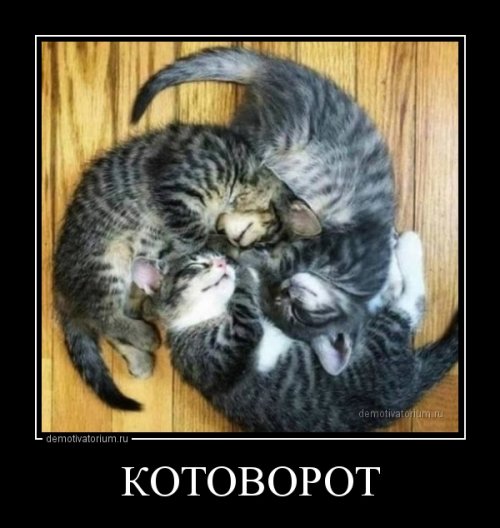 Демотиваторы для настроения