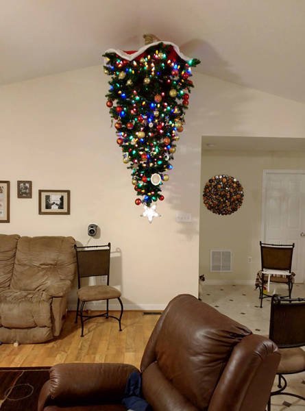 Как выглядят новогодние ёлки в домах людей, у которых есть домашние питомцы