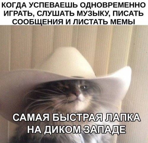 Забавная подборка фото-приколов