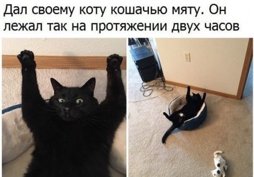 Новая порция фотомемов