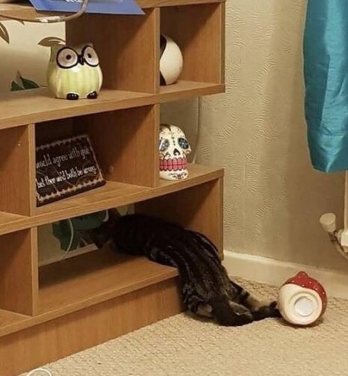 Летние горячие будни