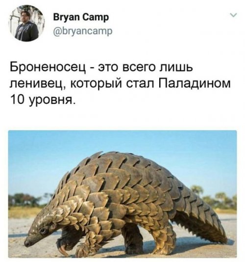 Забавная подборка фото-приколов
