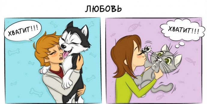 Комиксы о том, как отличается жизнь с кошкой от жизни с собакой