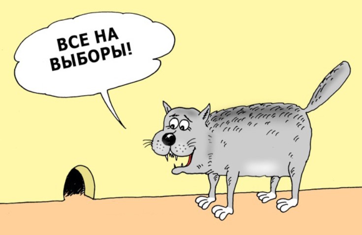 Сообразительный кот 0 Сообразительный кот 0