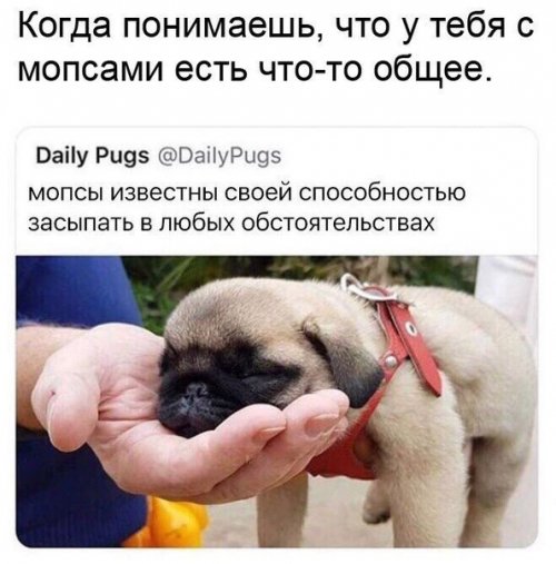 Новая порция фотомемов