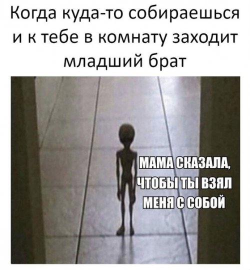 Забавные фотомемы