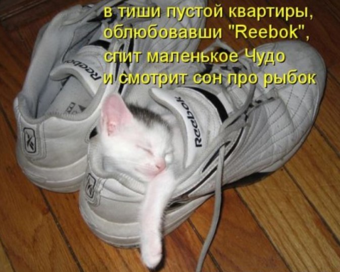 Котоматрица для забавы