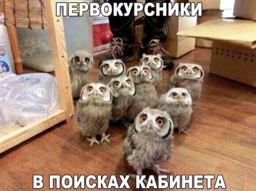 Новые фотомемы