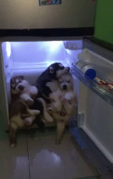 Летние горячие будни