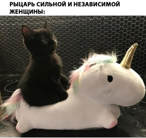 Подборка фото-приколов