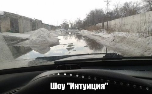 Подборка приколов в картинках