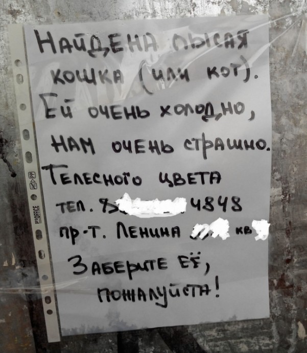 Самые забавные объявления