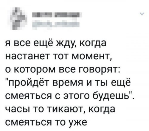 Свежие комментарии из социальных сетей