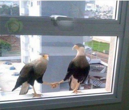 Рабочие приколы и казусы