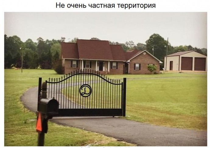 Вещи, в существование которых вы бы не поверили, если бы не фото
