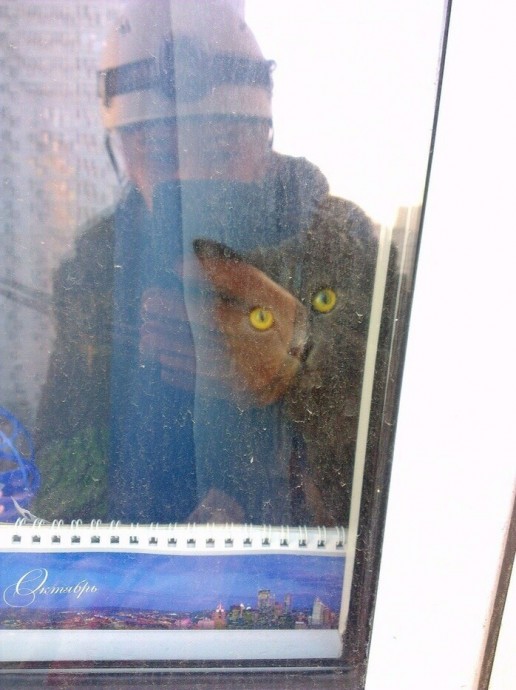 Работа такая, котов удивлять...