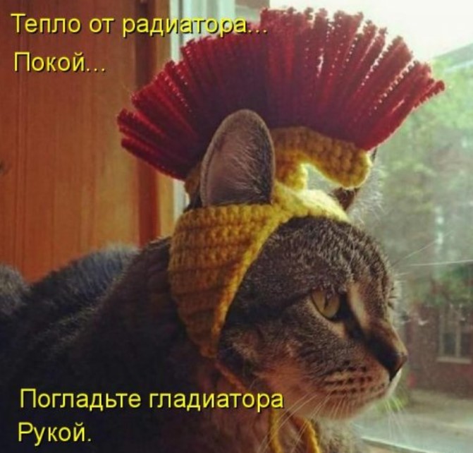 Новая котоматрица