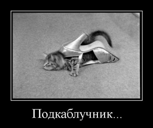 Смешные демотиваторы 1 Смешные демотиваторы 1