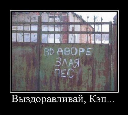 Смешные демотиваторы 0 Смешные демотиваторы 0