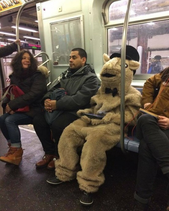 Кого только не увидишь в метро с утреца.