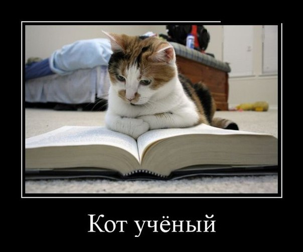 Картинки для улыбки! )