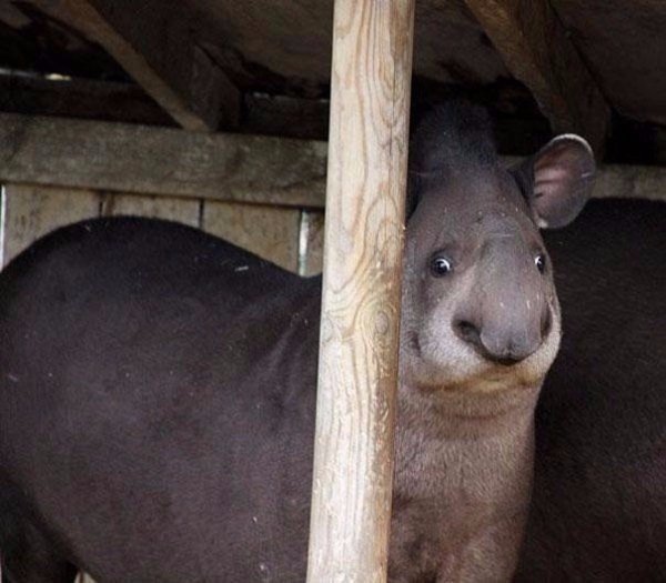 Когда ты не особо фотогеничен! )