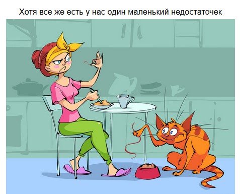 Сходство девушек и кошек