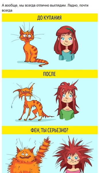 Сходство девушек и кошек