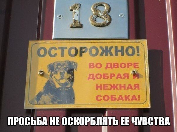 Забавные фотомемы