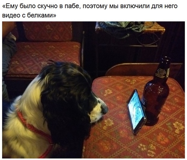 Удар по плохому настроению!