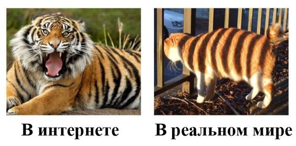 Некоторые отличия: в интернете и в реальной жизни