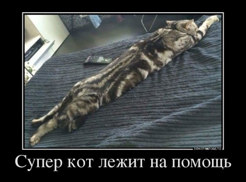 Смешные демотиваторы