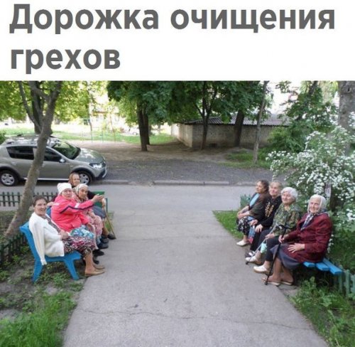 Смешные фотомемы